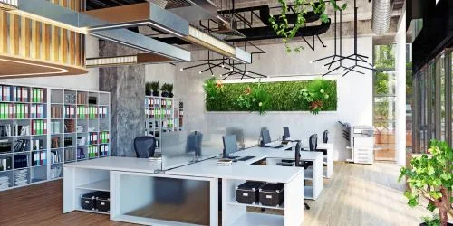 Commercial Feng Shui